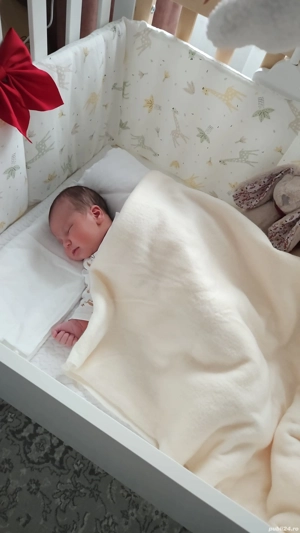 Închiriez Hala si Teren  - imagine 5