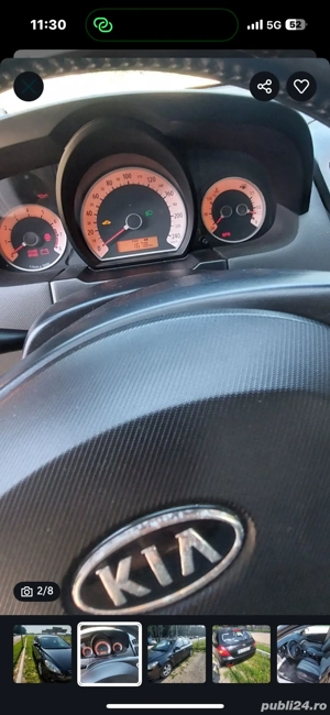 de vsnzare - imagine 2