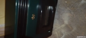 Convector Șimineu pe gaze Lampart La Coș Horn nou .