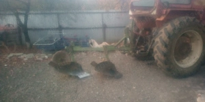 Vând tractor  cu plug ,cositoare ,cultivator și remorcă de gunoi  - imagine 2