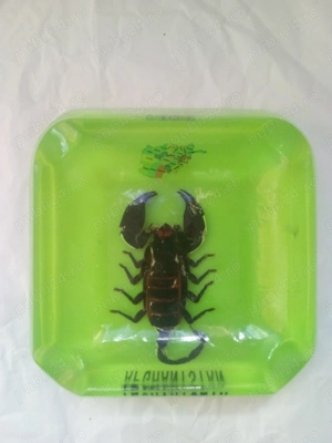 scrumiera cu scorpion real incastrat