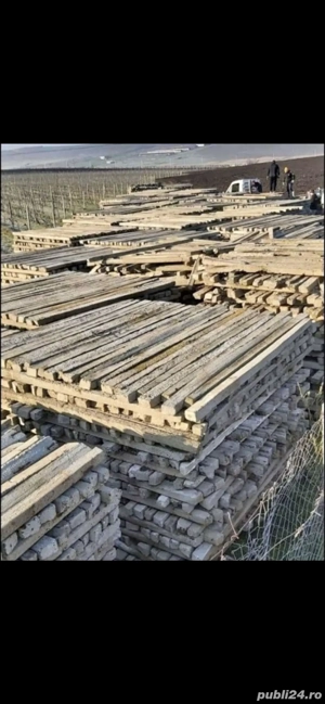 spalieri din beton armat 