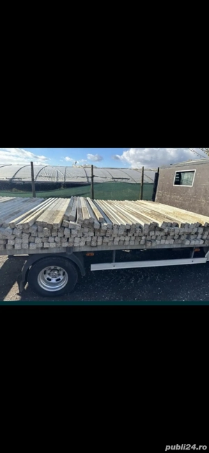 spalieri din defisari de vie 