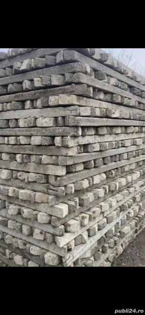 spalieri din defisari de vie 