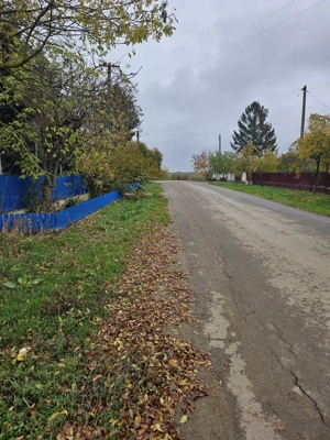 Comuna Butimanu (Decindea), Judet Dambovita, teren intravilan si extravilan - imagine 3