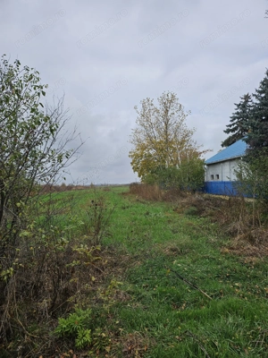 Comuna Butimanu (Decindea), Judet Dambovita, teren intravilan si extravilan - imagine 2