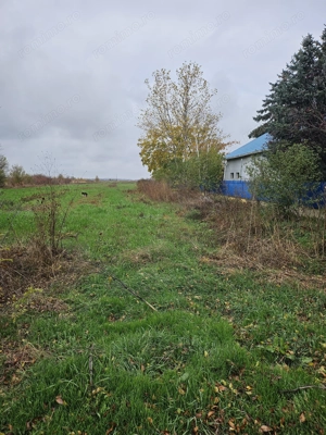 Comuna Butimanu (Decindea), Judet Dambovita, teren intravilan si extravilan - imagine 6