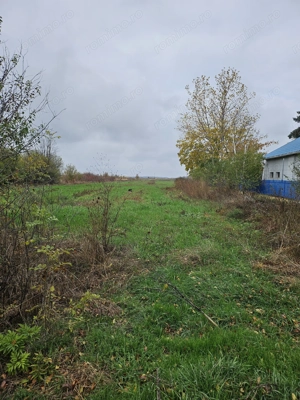 Comuna Butimanu (Decindea), Judet Dambovita, teren intravilan si extravilan - imagine 4