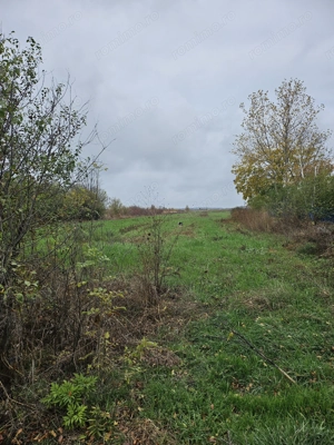 Comuna Butimanu (Decindea), Judet Dambovita, teren intravilan si extravilan - imagine 5