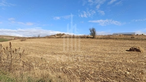 Teren extravilan in Sura Mare