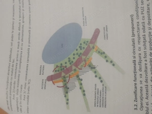 6752 mp  Fântânica -Bd Dna Ghica  - imagine 2