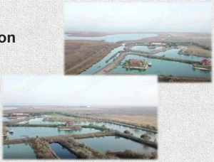 Proprietate exclusivista Istria - imagine 4