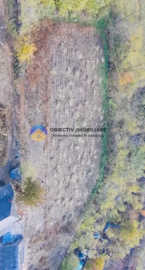 Teren de vânzare 11.766 mp – Costișa, județul Neamț