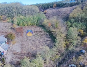 Teren de vânzare 11.766 mp – Costișa, județul Neamț - imagine 8