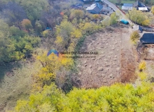 Teren de vânzare 11.766 mp – Costișa, județul Neamț - imagine 4