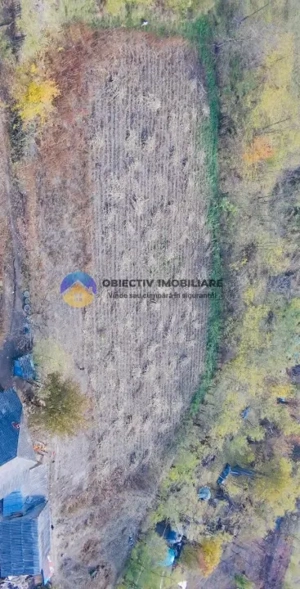 Teren de vânzare 11.766 mp – Costișa, județul Neamț - imagine 5