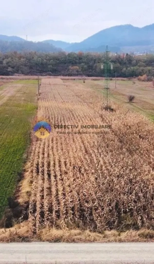 Teren intravilan de vanzare 5533 mp – Alexandru cel Bun