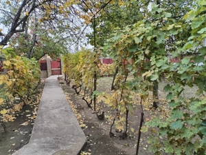 Casa cu teren - central Segarcea - imagine 2