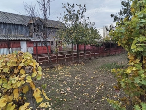 Casa cu teren - central Segarcea - imagine 9