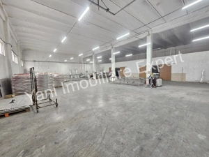 Proprietate cu multiple hale, de vânzare în comuna Băiculești, județ Argeș.