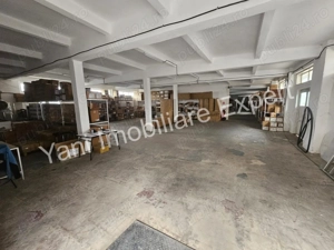 Proprietate cu multiple hale, de vânzare în comuna Băiculești, județ Argeș. - imagine 11