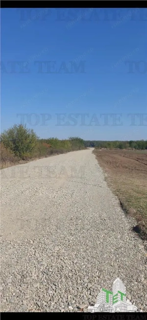 Teren Dambovita, Butimanu 14394 mp - imagine 3