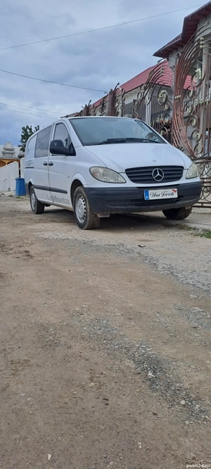 vand sau schib masian adusa recenta din olanda adusa dr mine  - imagine 2