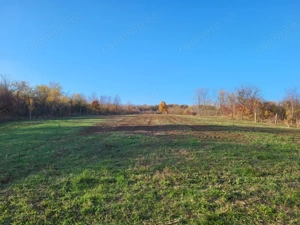 Teren 11.939 mp Bălănești – ideal rezidențial/comercial - imagine 4