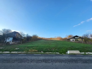 Teren 11.939 mp Bălănești – ideal rezidențial/comercial - imagine 7