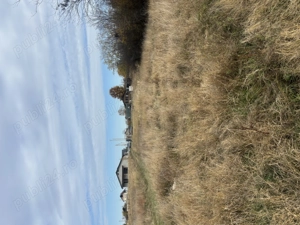 Vând teren intravilan 1000mp com. Moșoaia sat Hințești  - imagine 2