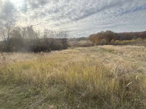 Vând teren intravilan 1000mp com. Moșoaia sat Hințești 