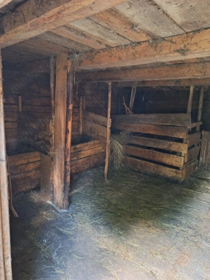 Vând grajd + șură din bârne de lemn, 10 m lungime, 6 m lățime, 60 metri pătrați, stare foarte bună.  - imagine 2