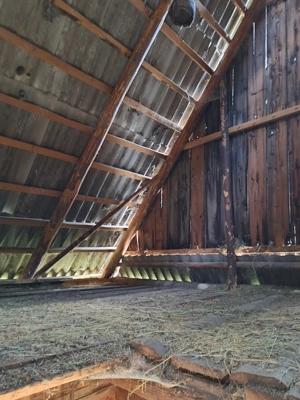 Vând grajd + șură din bârne de lemn, 10 m lungime, 6 m lățime, 60 metri pătrați, stare foarte bună.  - imagine 4