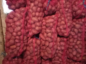 Vand cartofi alb si rosu