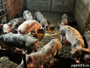 de vanzare  - imagine 5