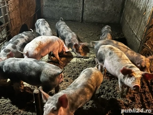 de vanzare  - imagine 3