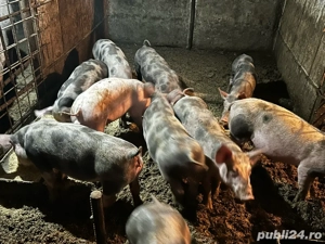 de vanzare  - imagine 4