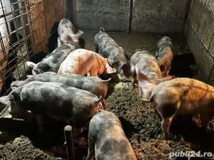 de vanzare  - imagine 2