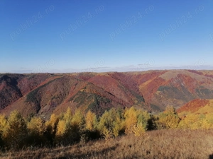 Vând teren pentru cabana la Mărișel - imagine 5