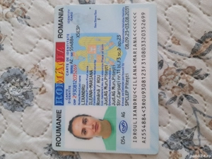 vand porci crescuti natural  - imagine 5