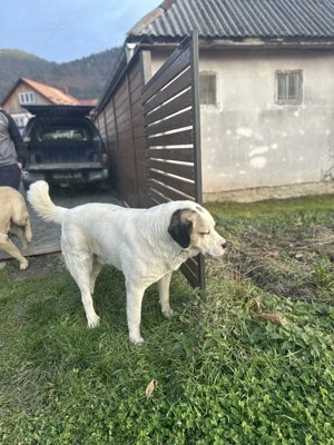 Asia central  - imagine 3