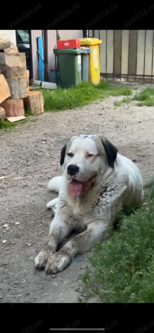 Asia central  - imagine 2