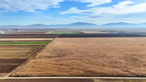 Teren 32,5 Ha compact Prejmer, Brasov. Imagini drona,tur 360 - imagine 6