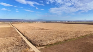 Teren 32,5 Ha compact Prejmer, Brasov. Imagini drona,tur 360 - imagine 8