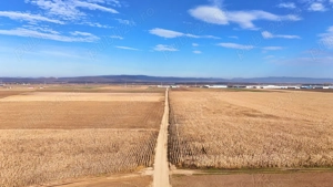 Teren 32,5 Ha compact Prejmer, Brasov. Imagini drona,tur 360 - imagine 10