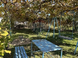 Casă / Vilă cu 3 camere de vânzare Piatra Soimului - imagine 4