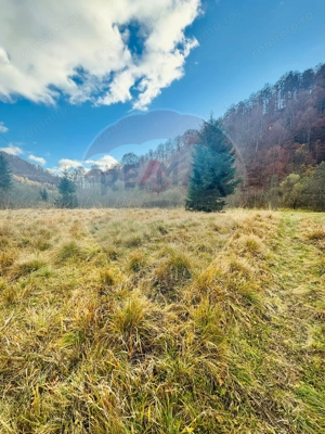 Teren 4,877mp Mara / Strada Principala - imagine 5