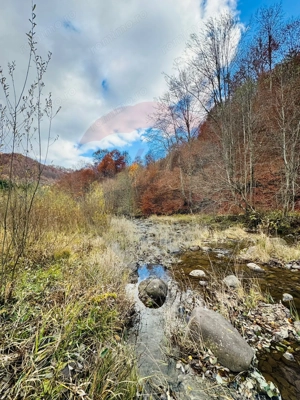 Teren 4,877mp Mara / Strada Principala - imagine 3