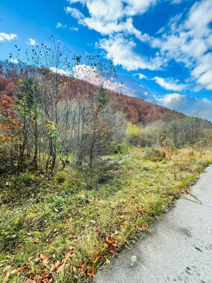 Teren 4,877mp Mara / Strada Principala - imagine 4