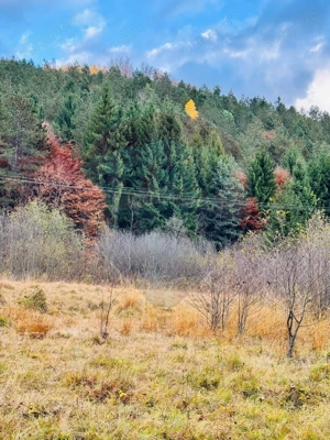 Teren 4,877mp Mara / Strada Principala - imagine 6